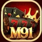 M91 Game