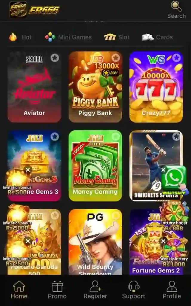 ER666 Game